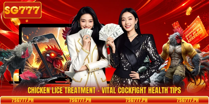 Chicken Lice Treatment - Vital Cockfight Health Tips
