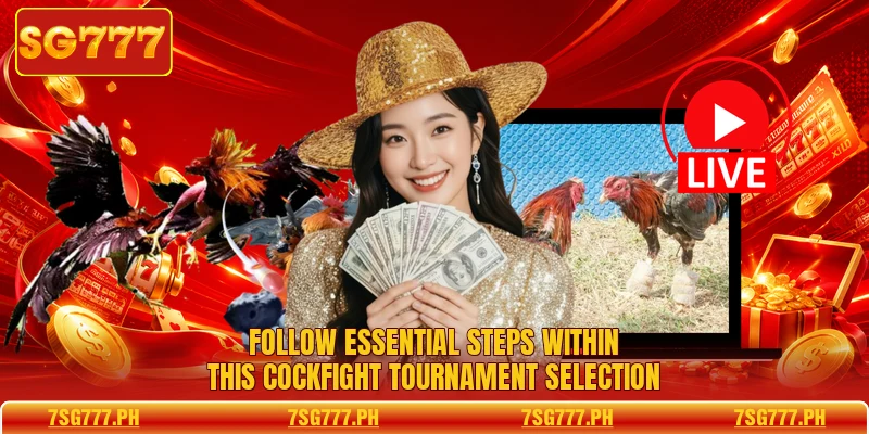 Follow essential steps within this Cockfight Tournament selection